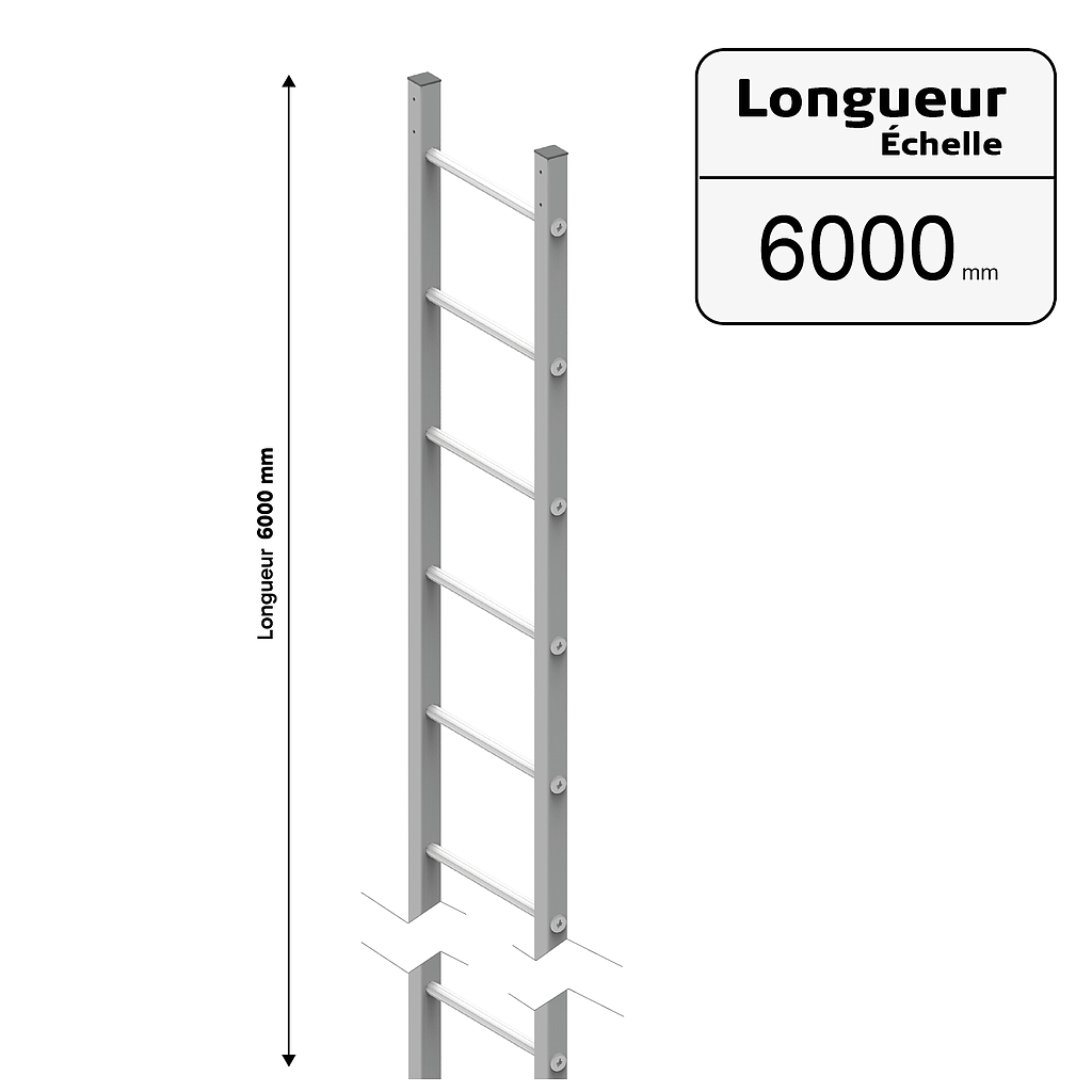 Échelle TK50 : Longueur Échelle = 3000 mm (copie)
